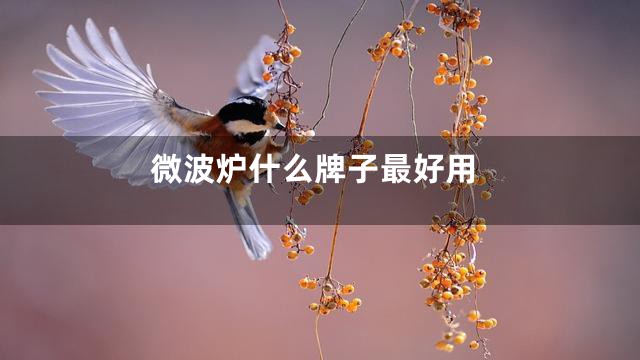 微波炉什么牌子最好用