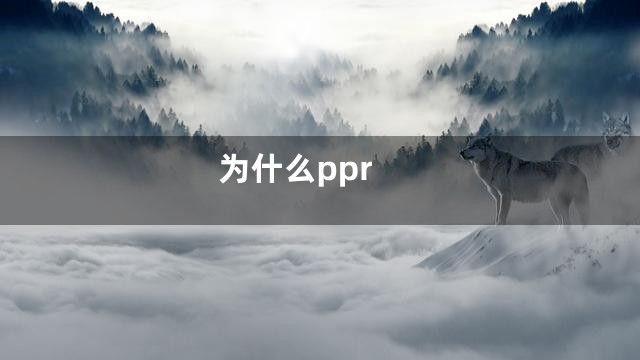 为什么ppr