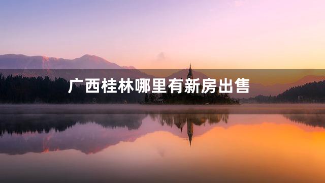 广西桂林哪里有新房出售