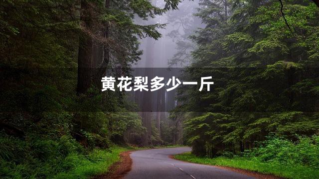 黄花梨多少一斤