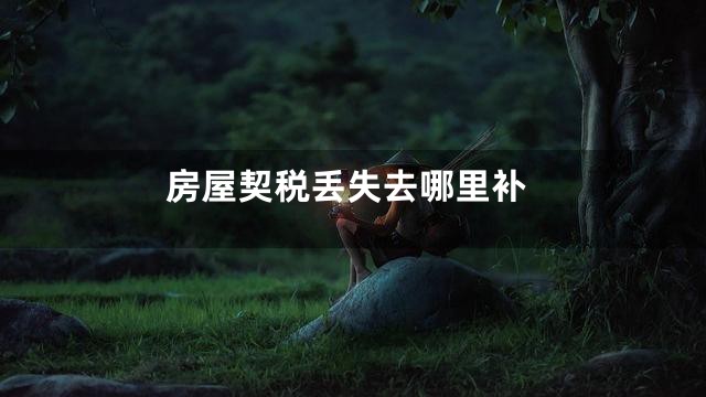 房屋契税丢失去哪里补