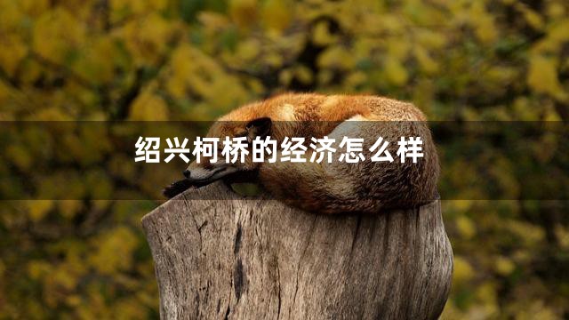 绍兴柯桥的经济怎么样