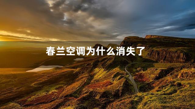 春兰空调为什么消失了