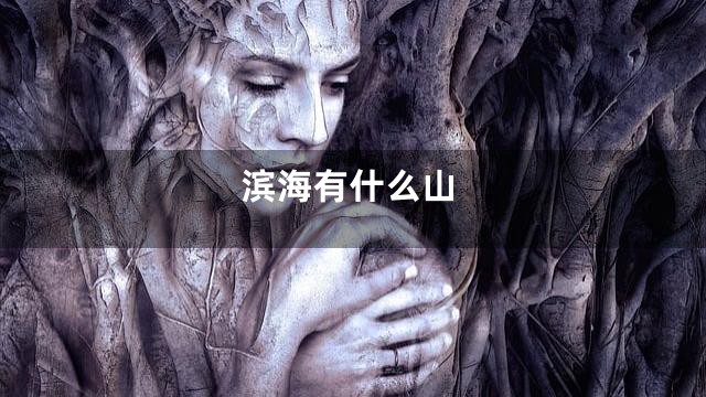 滨海有什么山