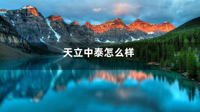 天立中泰怎么样