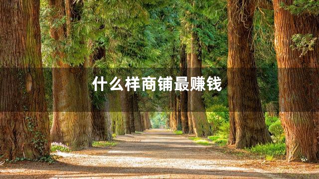 什么样商铺最赚钱