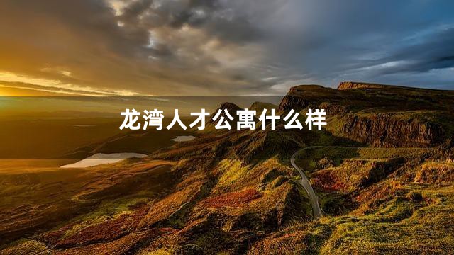 龙湾人才公寓什么样