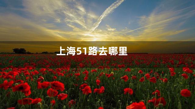 上海51路去哪里