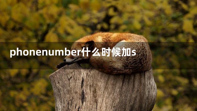 phonenumber什么时候加s
