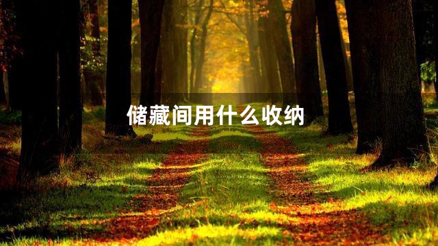 储藏间用什么收纳