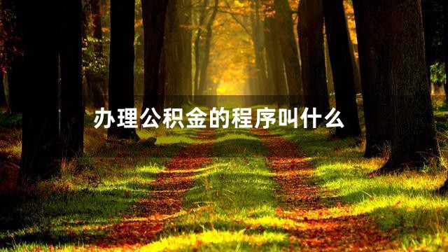 办理公积金的程序叫什么