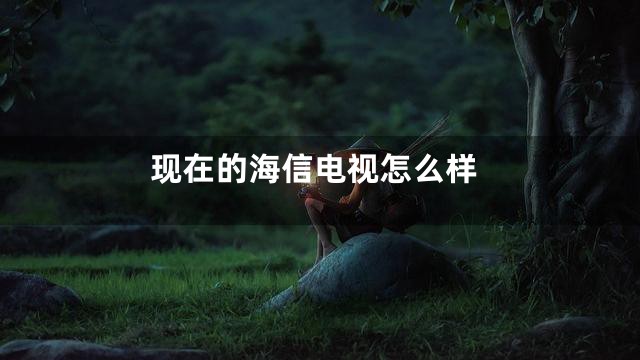 现在的海信电视怎么样