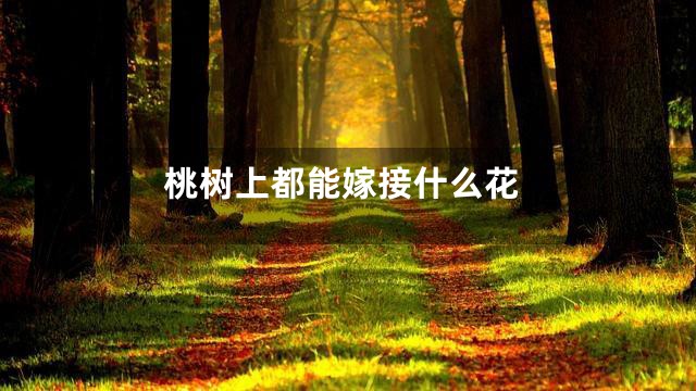 桃树上都能嫁接什么花