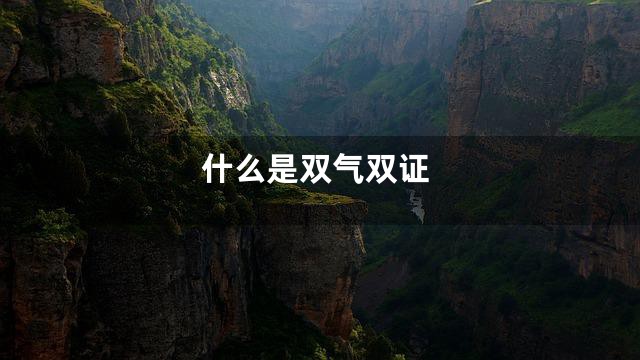什么是双气双证
