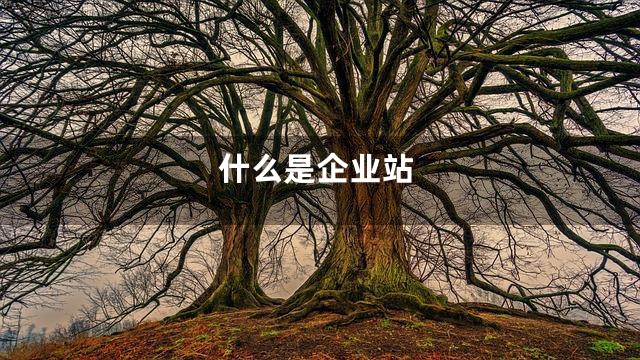 什么是企业站