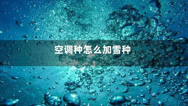 空调种怎么加雪种