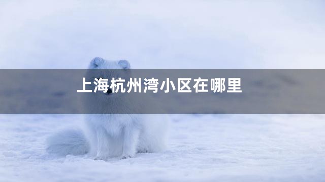 上海杭州湾小区在哪里