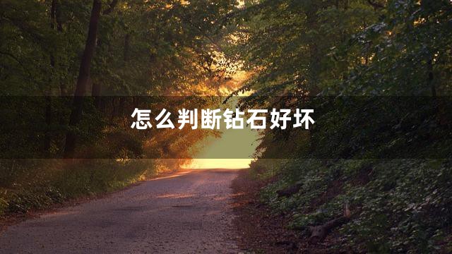 怎么判断钻石好坏