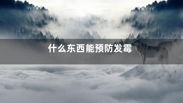 什么东西能预防发霉