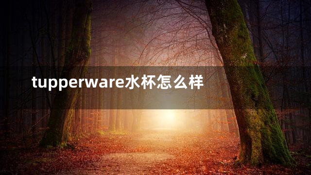 tupperware水杯怎么样