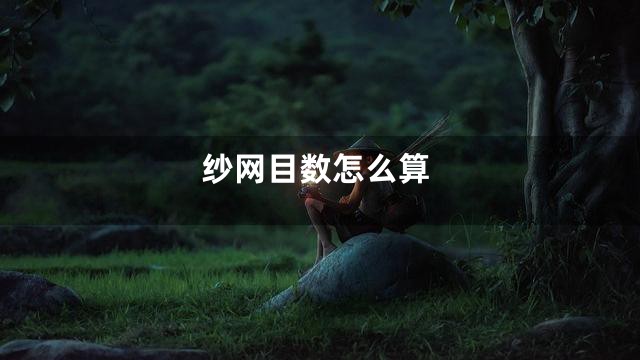 纱网目数怎么算