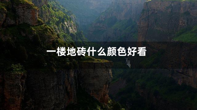 一楼地砖什么颜色好看