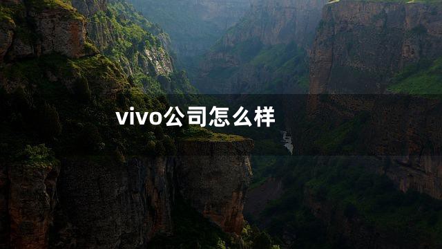 vivo公司怎么样