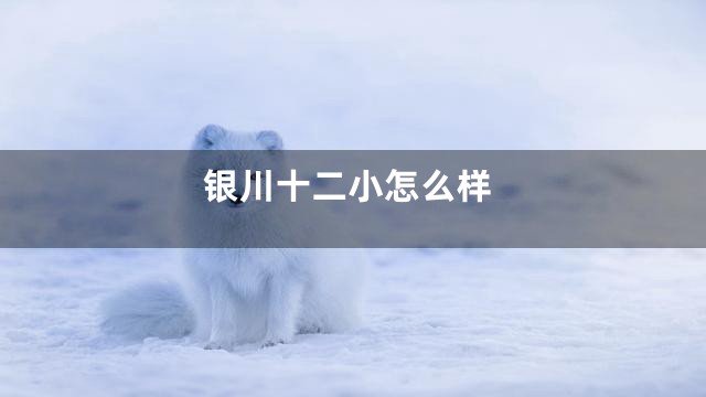 银川十二小怎么样