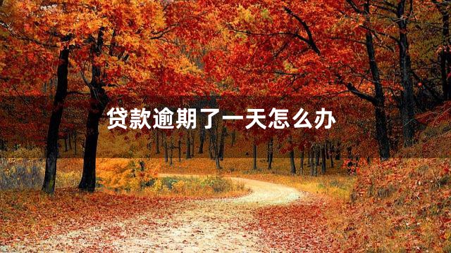 贷款逾期了一天怎么办