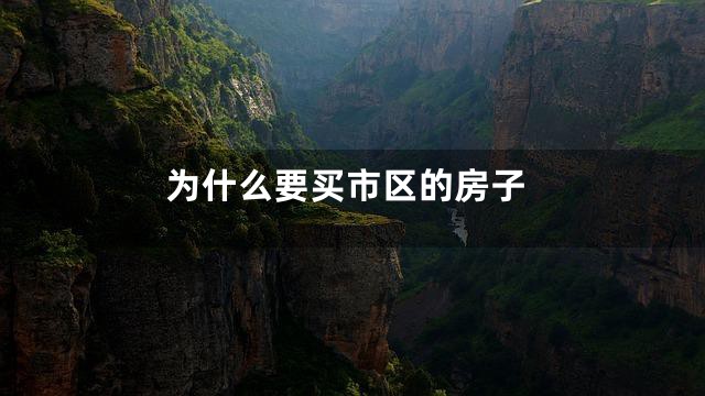 为什么要买市区的房子