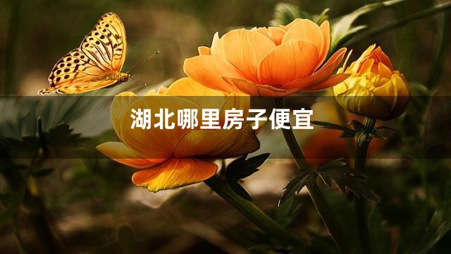 湖北哪里房子便宜