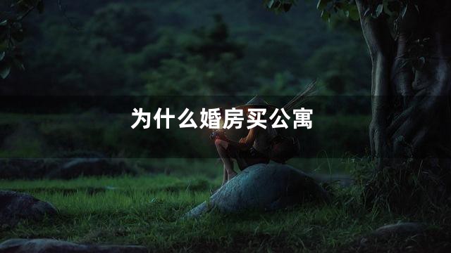 为什么婚房买公寓