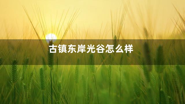 古镇东岸光谷怎么样