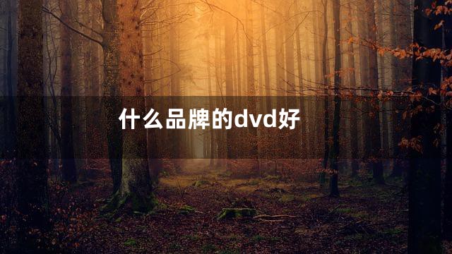 什么品牌的dvd好