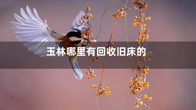 玉林哪里有回收旧床的