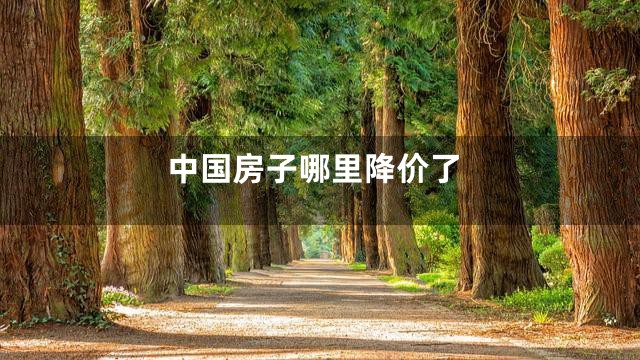 中国房子哪里降价了