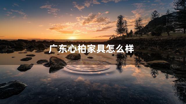 广东心柏家具怎么样