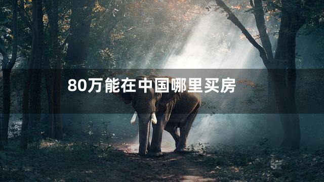 80万能在中国哪里买房