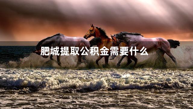 肥城提取公积金需要什么