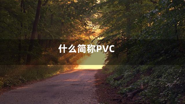什么简称PVC