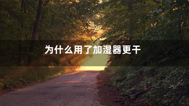 为什么用了加湿器更干