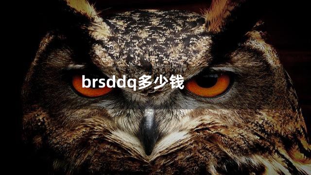 brsddq多少钱