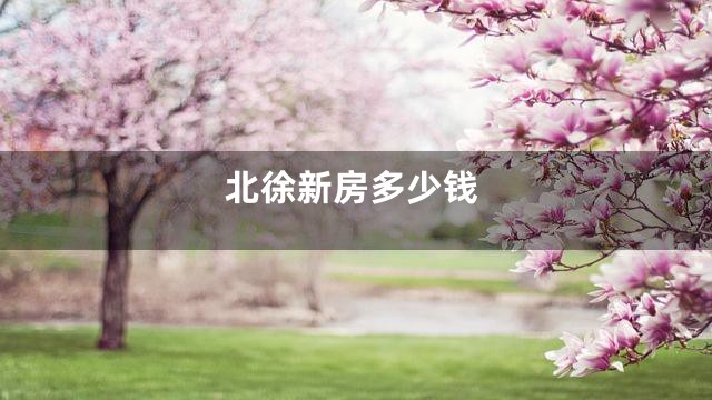 北徐新房多少钱