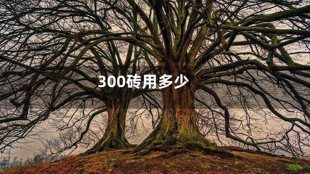 300砖用多少