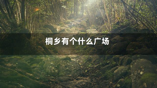 桐乡有个什么广场