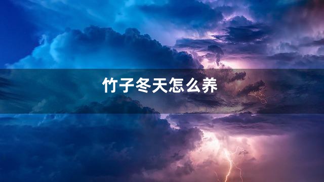 竹子冬天怎么养