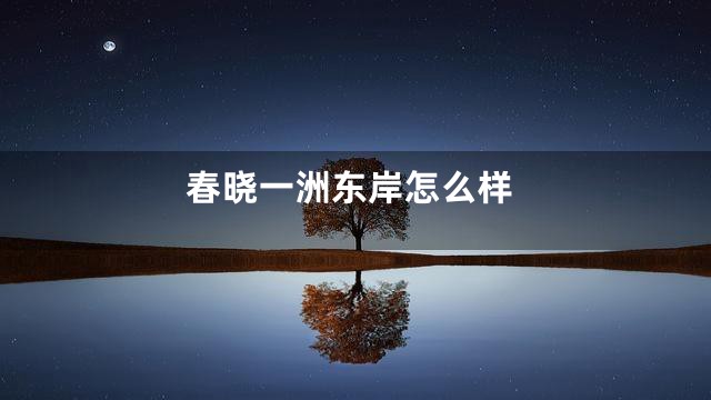 春晓一洲东岸怎么样