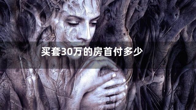 买套30万的房首付多少