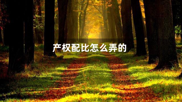 产权配比怎么弄的