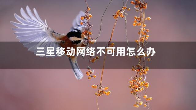 三星移动网络不可用怎么办